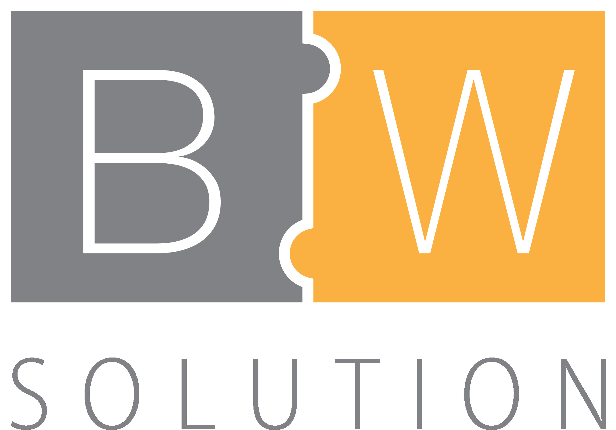 Bwsolution Logo